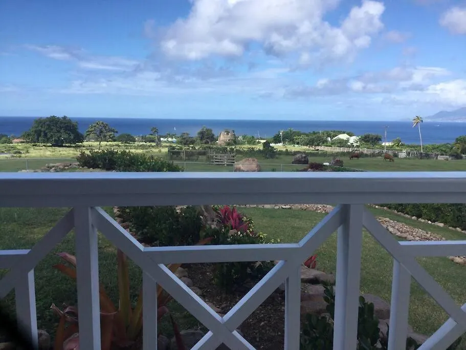 Welcome To Yaretzibernal At Ma Il Dotcom Cotton Ground 0*,  Saint Kitts & Nevis