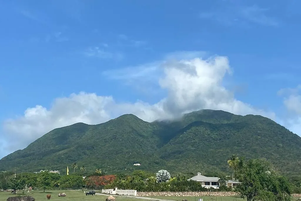 Welcome To Yaretzibernal At Ma Il Dotcom Cotton Ground Saint Kitts & Nevis
